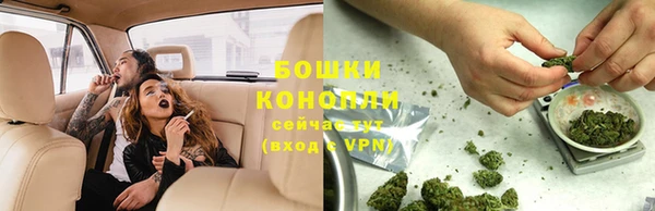 прущие грибы Семикаракорск