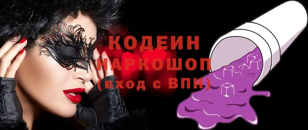 крисы Абаза