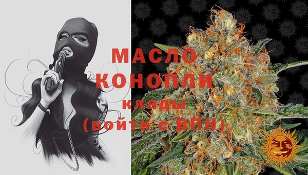 спиды Ельня