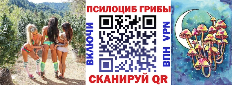 Псилоцибиновые грибы Psilocybine cubensis Аксай